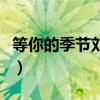 等你的季节刘诗诗吴奇隆（等你的季节刘诗诗）