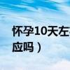 怀孕10天左右会孕吐吗（怀孕10天会孕吐反应吗）