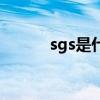 sgs是什么意思啊（sgs是什么）