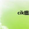 cik细胞免疫治疗（cik细胞）