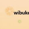 wibukey是什么（ukey是什么）