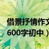 借景抒情作文600字初中梅花（借景抒情作文600字初中）