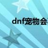 dnf宠物会不会死（dnf宠物会饿死吗）