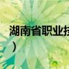 湖南省职业技术学院排名（职业技术学院排名）