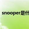 snooper是什么意思（snoopy是什么意思）