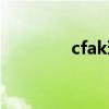 cfak玩法（cfak使用技巧）