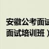 安徽公考面试培训班哪个比较好（安徽公务员面试培训班）