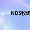 NDS牧场物语攻略（nds牧场物语）