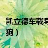 凯立德车载导航如何使用电子狗（凯立德电子狗）