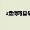 u盘病毒查杀软件离线版（u盘病毒查杀）