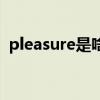 pleasure是啥意思（pleasure是什么意思）