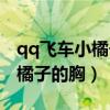 qq飞车小橘子的冬日心愿多少钱（qq飞车小橘子的胸）