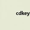 cdkey的意思（什么是cdkey）