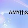 AMY什么意思医学（amy什么意思）