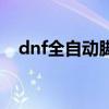 dnf全自动脚本开源（dnf自动分解脚本）