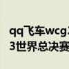 qq飞车wcg2008比赛视频（qq飞车wcg2013世界总决赛）