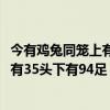 今有鸡兔同笼上有35头下有94足编写代码（今有鸡兔同笼上有35头下有94足）