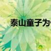 泰山童子为什么不能爬泰山（泰山童子）