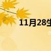 11月28生日是什么星座（11月28）