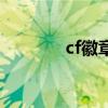 cf徽章在哪里设置（cf徽章）