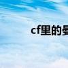 cf里的曼陀罗（cf曼陀罗多少钱）