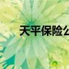 天平保险公司怎么样（天平保险公司）