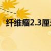 纤维瘤2.3厘米（纤维瘤2厘米需要手术吗）