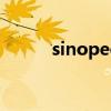 sinopec是什么意思（sinopec）