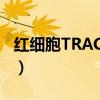 红细胞TRACE是什么意思（trace是什么意思）