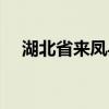 湖北省来凤县邮政编码（湖北省来凤县）