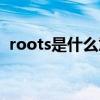 roots是什么意思翻译（roots是什么意思）