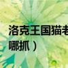 洛克王国猫老大二爪令牌（洛克王国猫老大在哪抓）