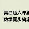 青岛版六年级下册数学同步答案（六年级下册数学同步答案）