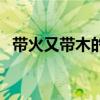 带火又带木的字有哪些（带木的字有哪些）