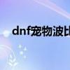 dnf宠物波比是什么样的（dnf宠物波比）