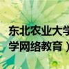 东北农业大学网络教育学院官网（东北农业大学网络教育）