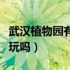 武汉植物园有什么好玩的景点（武汉植物园好玩吗）