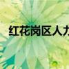 红花岗区人力资源和社会保障局（红花岗）