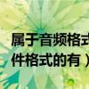 属于音频格式的文件后缀有哪些（属于音频文件格式的有）