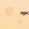 npc官网检测（npc官网）