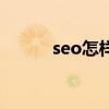 seo怎样优化（如何做seo优化）