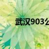 武汉903公交车路线查询（武汉903）