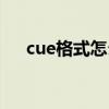 cue格式怎么播放（cue文件怎么打开）