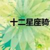 十二星座骑士叫啥名字（十三星座骑士）