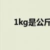 1kg是公斤还是斤（kg是公斤还是斤）