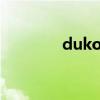 dukoff中音笛头（dukoff）