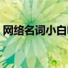 网络名词小白啥意思（小白网络意思是什么）