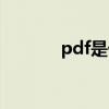 pdf是什么软件（pdf是什么）