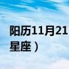 阳历11月21日是什么星座（11月21日是什么星座）