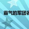 霸气的军团名字大全集（霸气的军团名字）